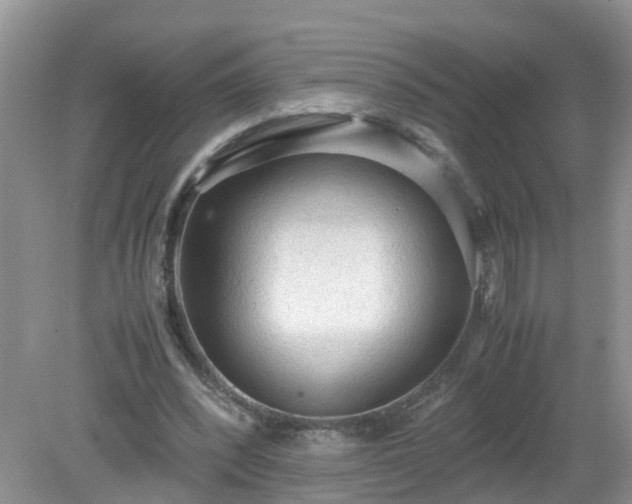 X0000079340392200611251902