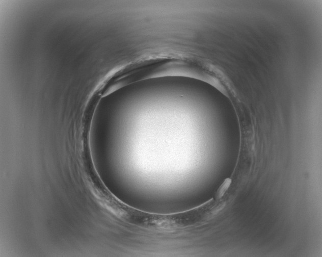 X0000079340395200611251902
