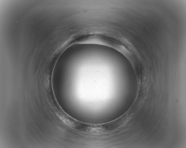 X0000079340401200611251902