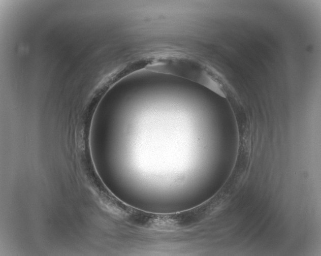 X0000079340403200611251902