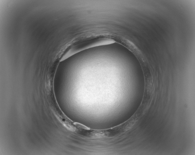 X0000079340405200611251902