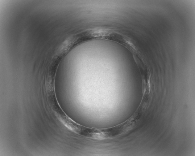 X0000079340411200611251902