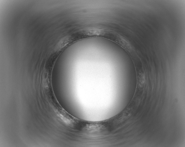 X0000079340414200611251902