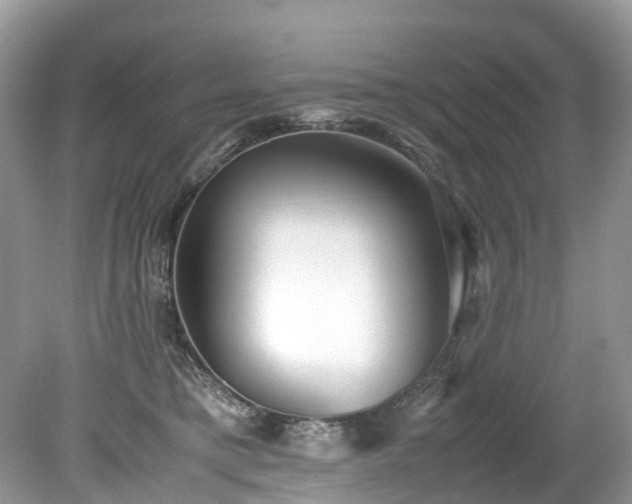 X0000079340421200611251902