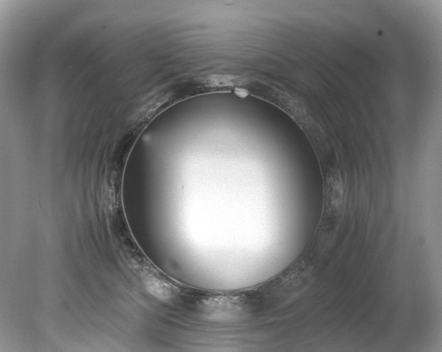 X0000079340422200611251902