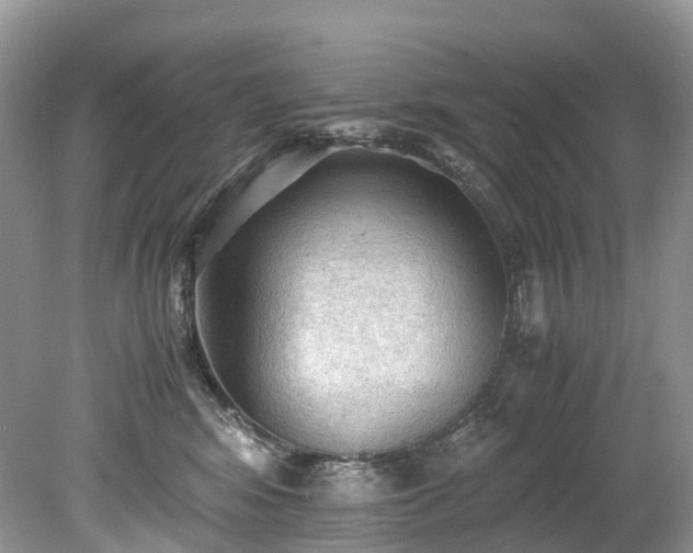 X0000079340424200611251902