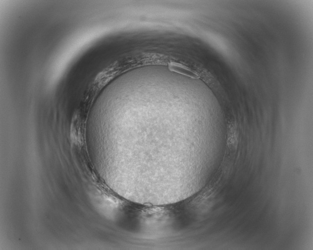 X0000079340431200611251901