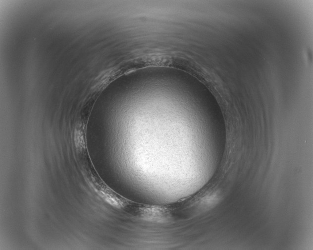 X0000079340432200611251901
