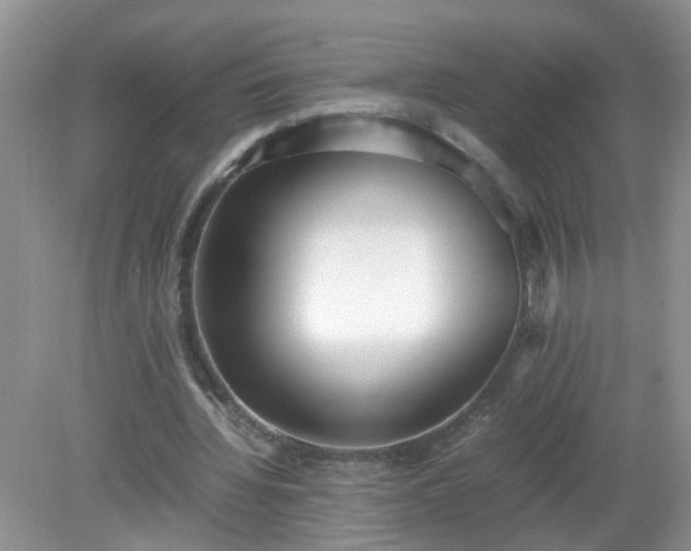 X0000079340436200611251901