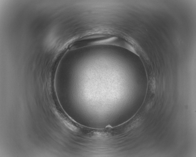 X0000079340442200611251901