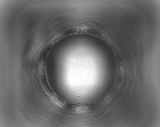 X0000079340468200611251901