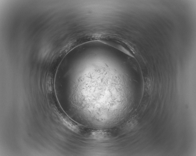 X0000079340470200611251901