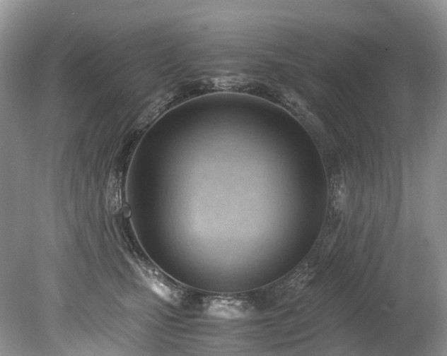 X0000079340471200611251901