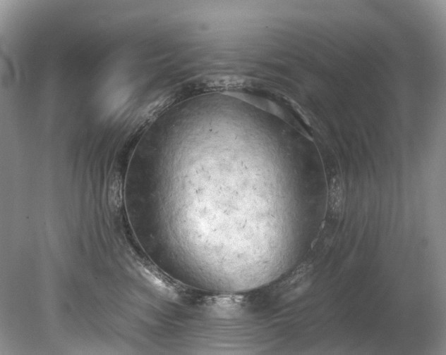 X0000079340474200611251901