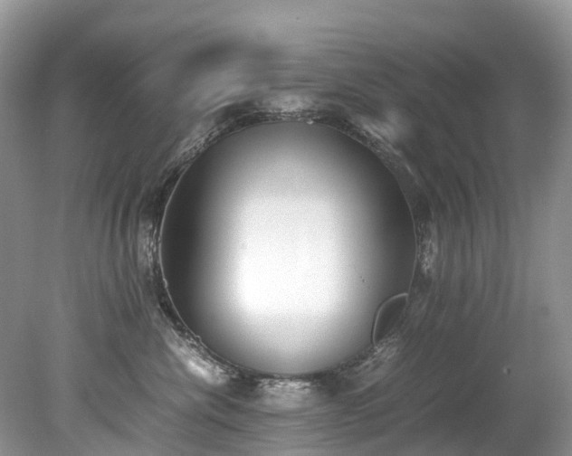X0000079340476200611251901