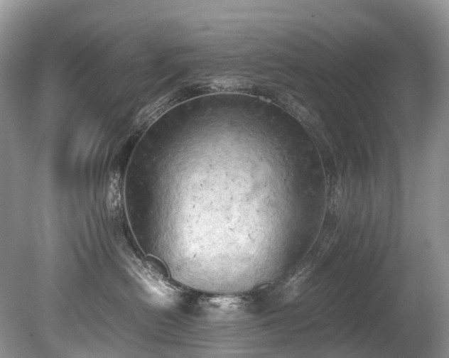 X0000079340478200611251901