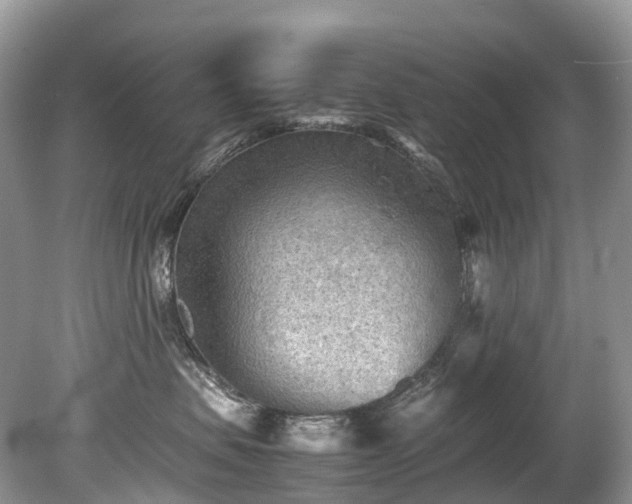 X0000079340479200611251901