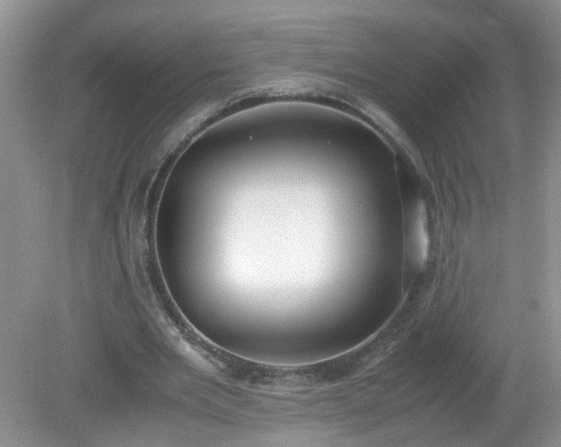 X0000079340485200611251900