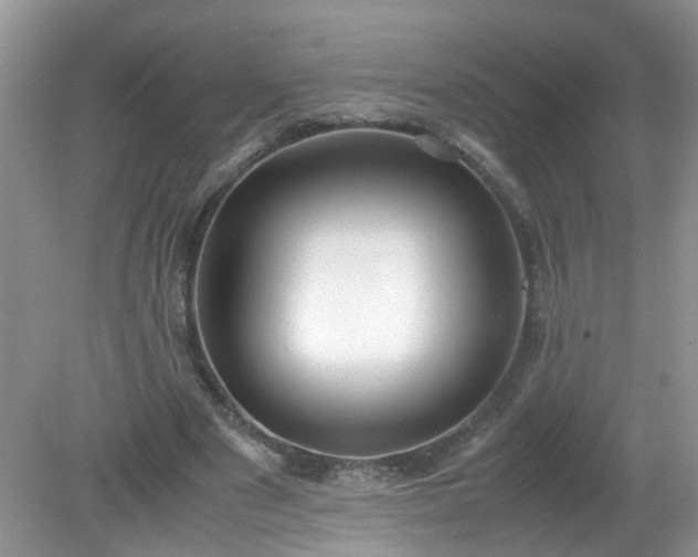 X0000079340489200611251900