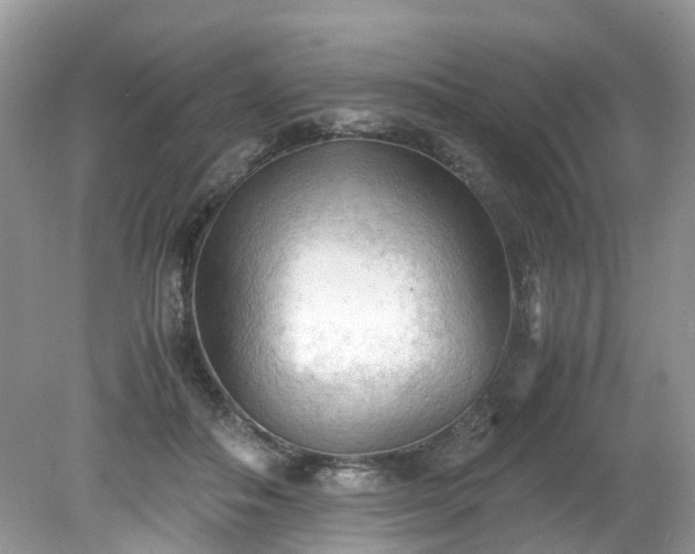 X0000079340506200611251900