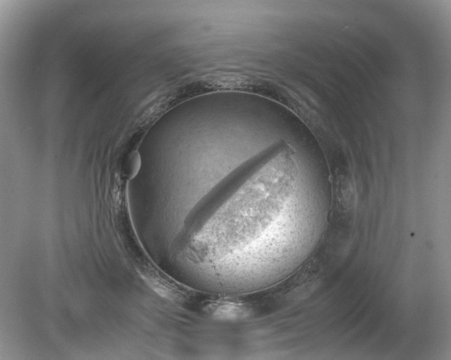 X0000079340507200611251900