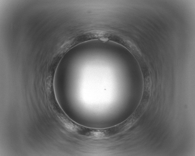 X0000079340509200611251900