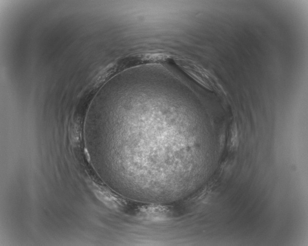X0000079340517200611251900