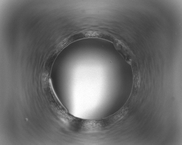 X0000079340521200611251900
