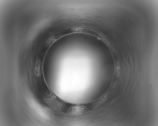 X0000079340525200611251900