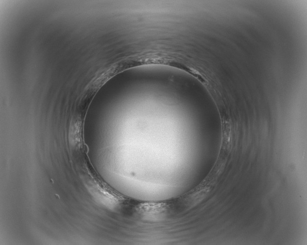 X0000079340526200611251900