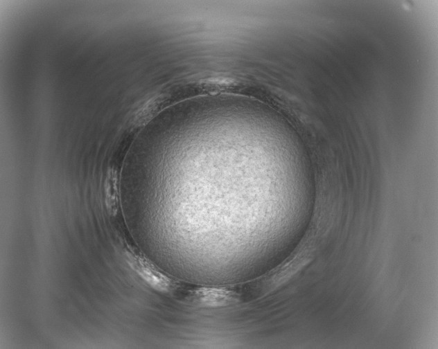 X0000079340528200611251900