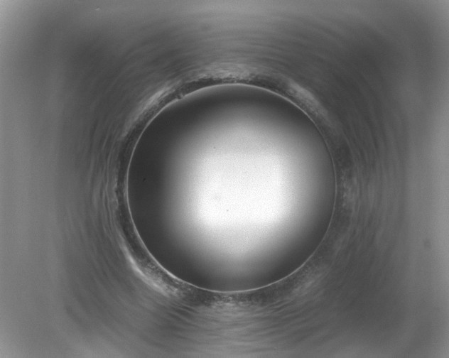 X0000079340538200611251859