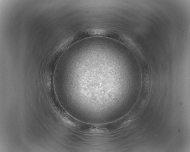 X0000079340545200611251859