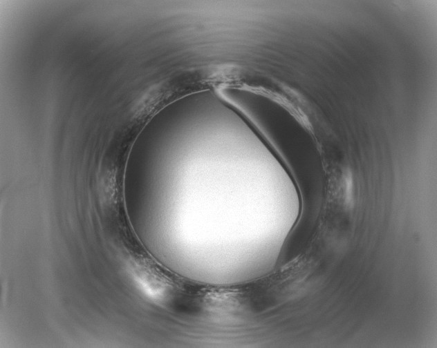X0000079340560200611251859