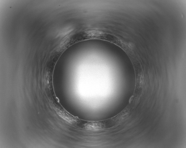 X0000079340567200611251900