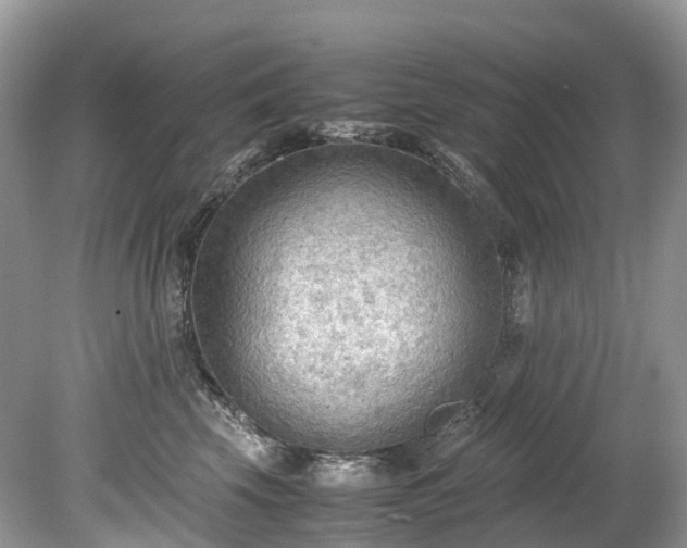X0000079340569200611251900