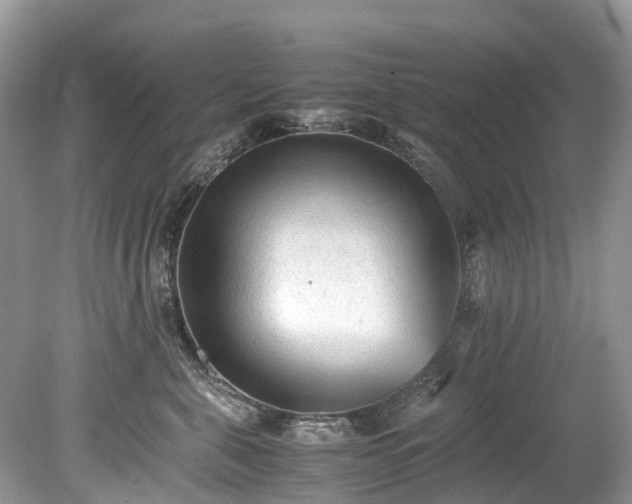 X0000079340571200611251900