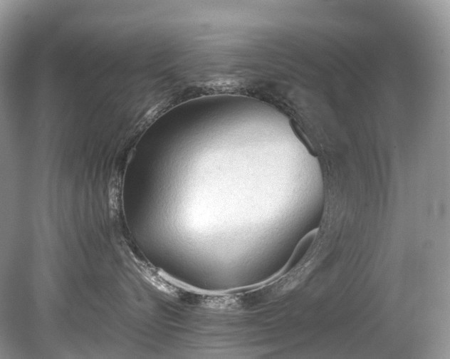 X0000079340576200611251900