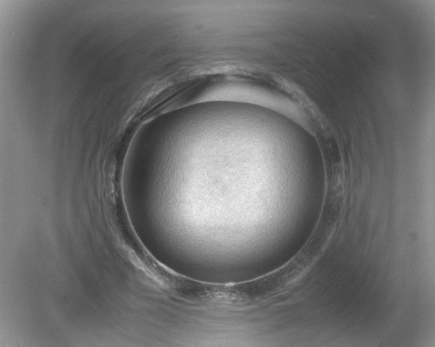 X0000079340585200611251859