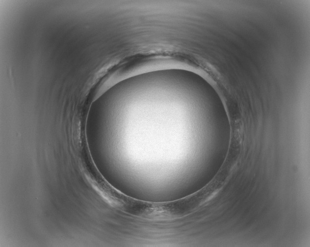 X0000079340589200611251859