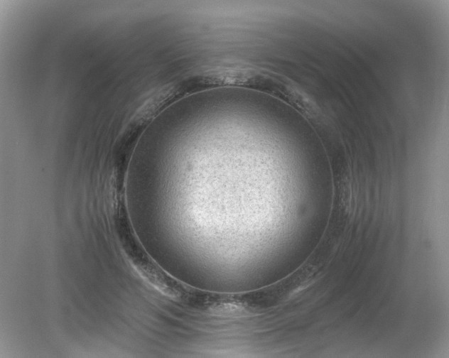 X0000079340594200611251859