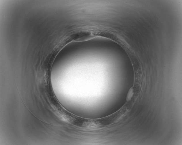 X0000079340597200611251859