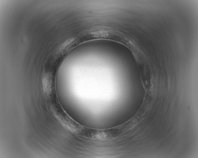 X0000079340600200611251859