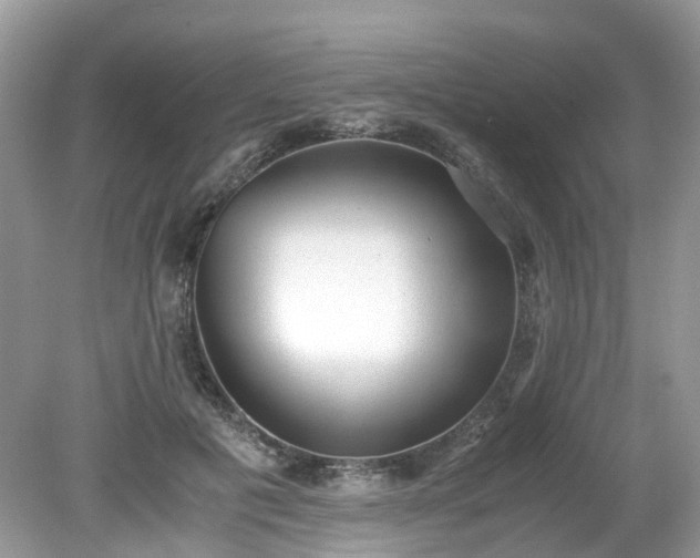 X0000079340601200611251859