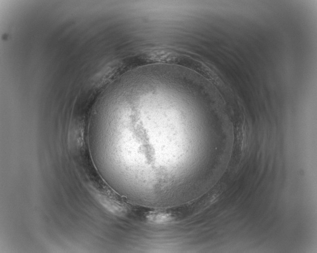 X0000079340602200611251859