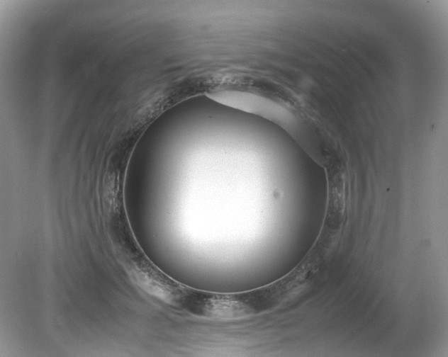 X0000079340605200611251858