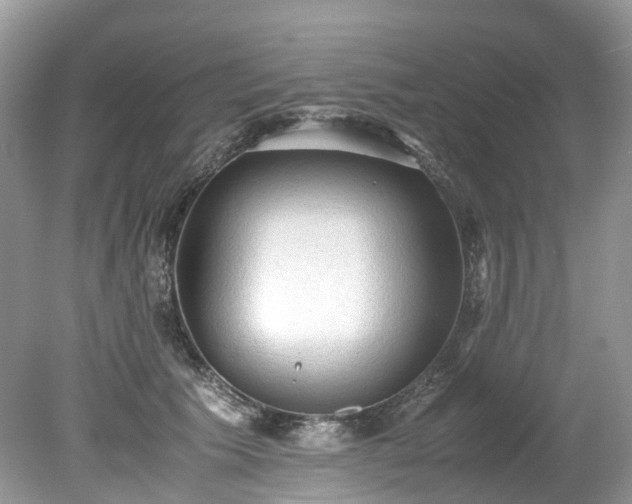 X0000079340609200611251858