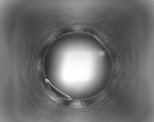 X0000079340611200611251858