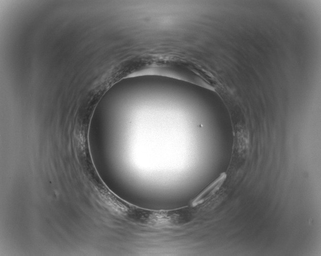 X0000079340613200611251858