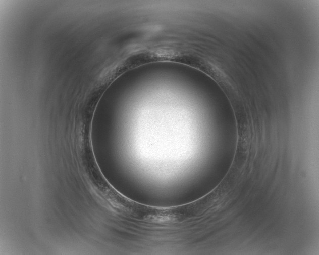 X0000079340639200611251858